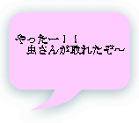 [II @񂪎ꂽ` 