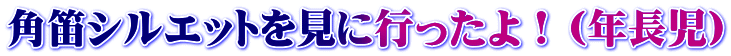 角笛シルエットを見に行ったよ！（年長児）