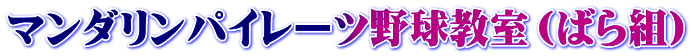 マンダリンパイレーツ野球教室（ばら組）