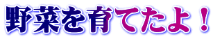 野菜を育てたよ！